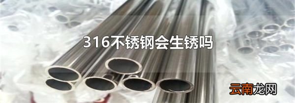 316不锈钢会生锈吗