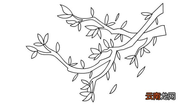 树枝简笔画 树枝简笔画步骤