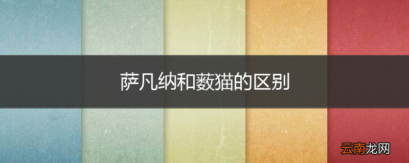 萨凡纳和薮猫的区别