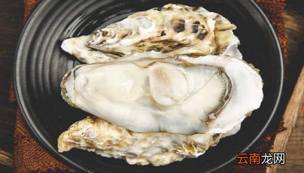 生蚝牡蛎是一样的吗 生蚝牡蛎是不是一样
