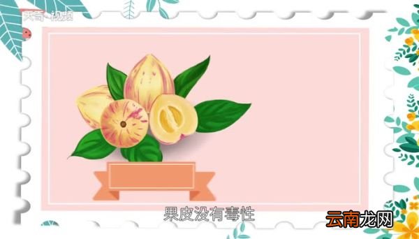 人参果皮可以吃吗人参果可以连皮吃吗