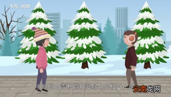 常青树有哪些 常青树包括哪些
