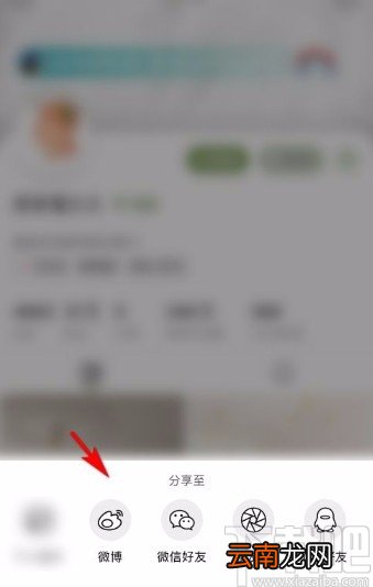 绿洲app分享别人的主页给好友的方法