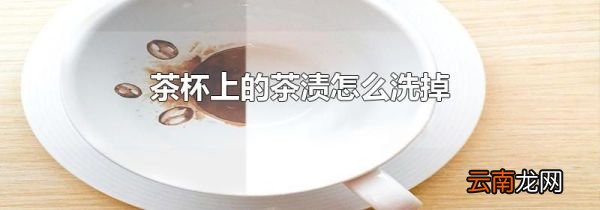 茶杯上的茶渍怎么洗掉
