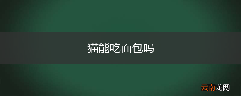 猫能吃面包吗