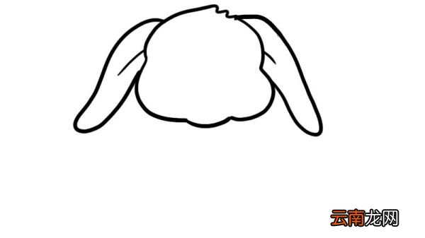 打坐的小兔子简笔画