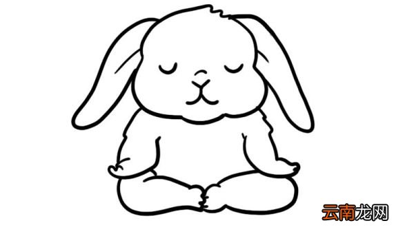 打坐的小兔子简笔画