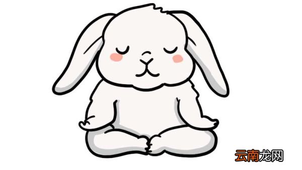 打坐的小兔子简笔画