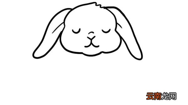 打坐的小兔子简笔画