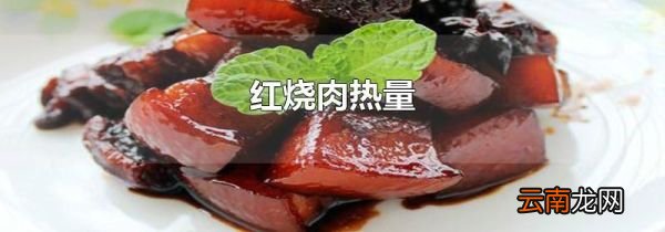 红烧肉热量