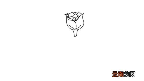 一束玫瑰花简笔画