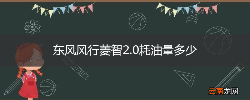 东风风行菱智2.0耗油量多少