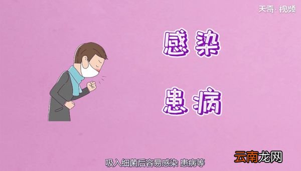 加湿器的危害加湿器的危害是什么