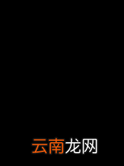 金山画王如何画画 快速入门方法分享