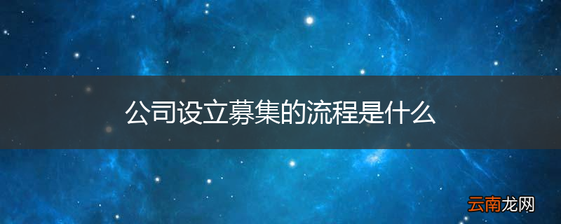 公司设立募集的流程是什么