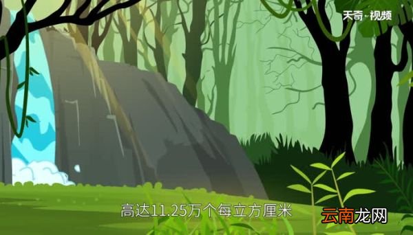 白水寨在哪里白水寨在什么地方