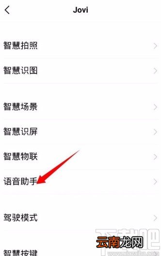 vivo手机设置语音播报的方法步骤