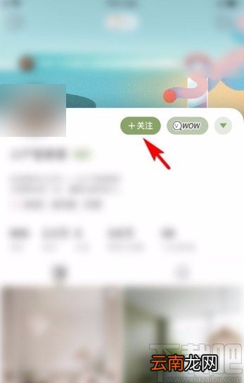 绿洲app关注用户的方法