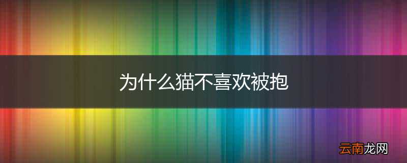为什么猫不喜欢被抱