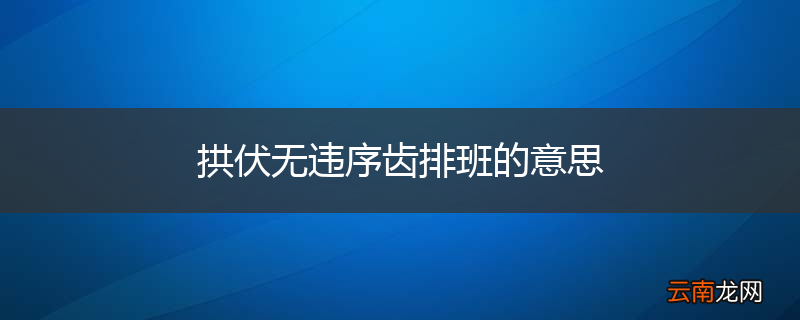 拱伏无违序齿排班的意思