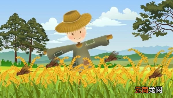 生活不易的说说心情句子 生活不易的说说