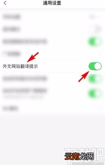 搜狗搜索app启用外文网站翻译提示功能的方法