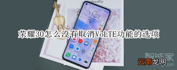 荣耀30怎么没有取消VoLTE功能的选项