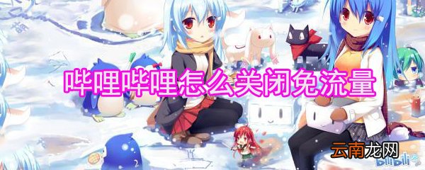 哔哩哔哩怎么关闭免流量_哔哩哔哩关闭免流量方法全览