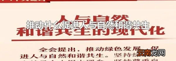 推动什么促进人与自然和谐共生