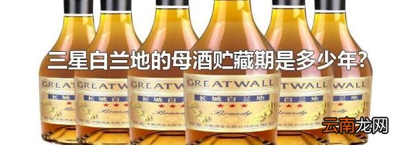 三星白兰地的母酒贮藏期是多少年?