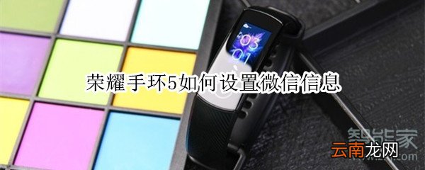 荣耀手环5如何设置微信信息