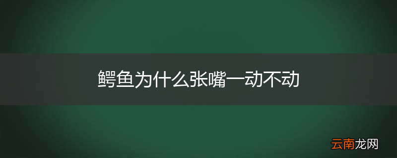 鳄鱼为什么张嘴一动不动