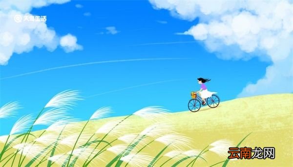 什么叫机械运动 机械运动是什么意思