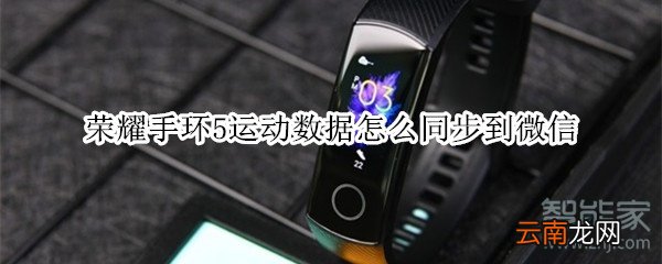 荣耀手环5运动数据怎么同步到微信