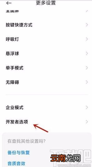 小米手机显示布局边界的方法