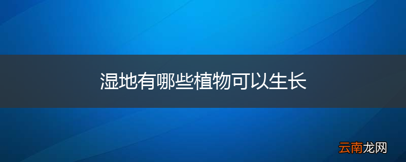 湿地有哪些植物可以生长