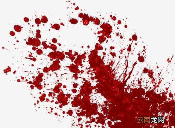 为什么人流血过多会死亡？