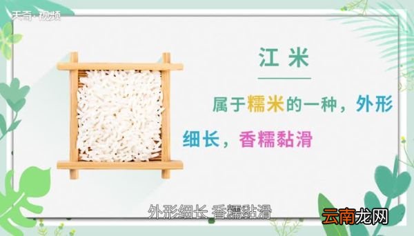 江米是什么 什么是江米