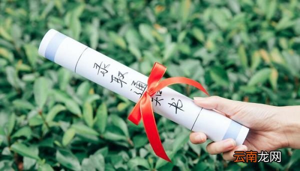什么叫平行志愿平行志愿叫什么