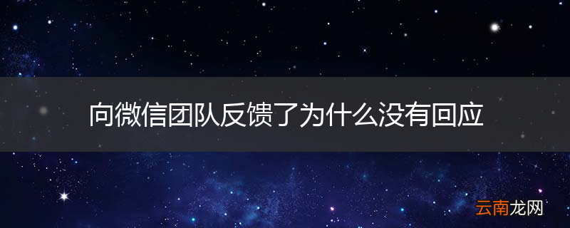 向微信团队反馈了为什么没有回应