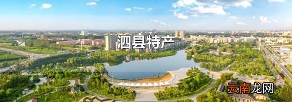 泗县特产