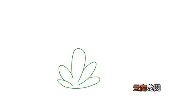植物简笔画的步骤植物简笔画的画法