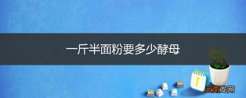 一斤半面粉要多少酵母