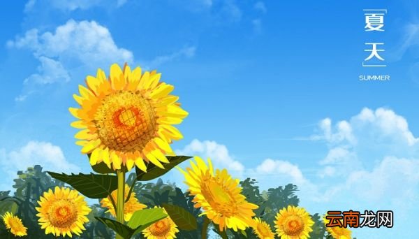 苦夏是什么意思 苦夏指的什么