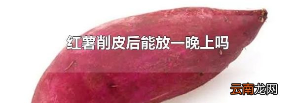 红薯削皮后能放一晚上吗