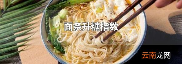 面条升糖指数