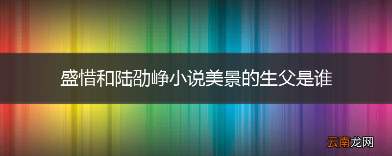盛惜和陆劭峥小说美景的生父是谁