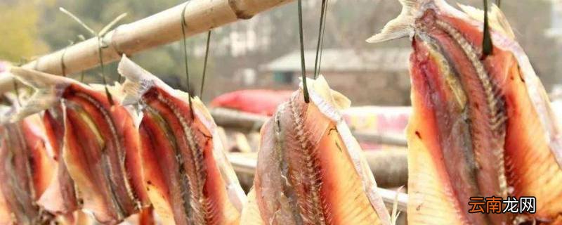 腌鱼用什么鱼来腌