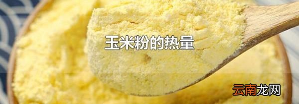 玉米粉的热量