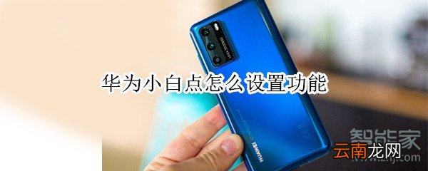 华为小白点怎么设置功能